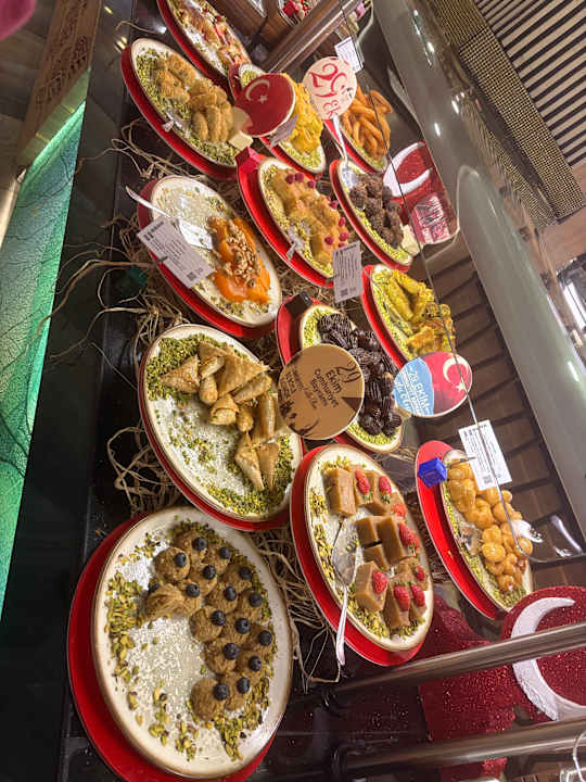 Gastro Delphin BE Grand