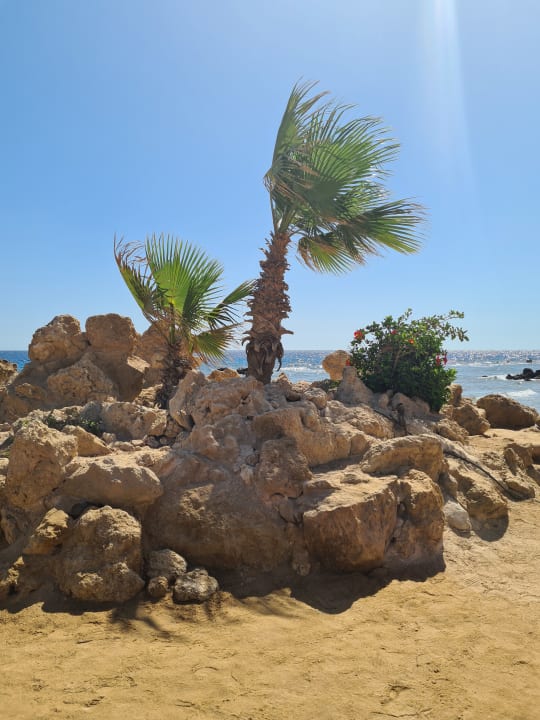 Strand Pickalbatros Citadel Resort