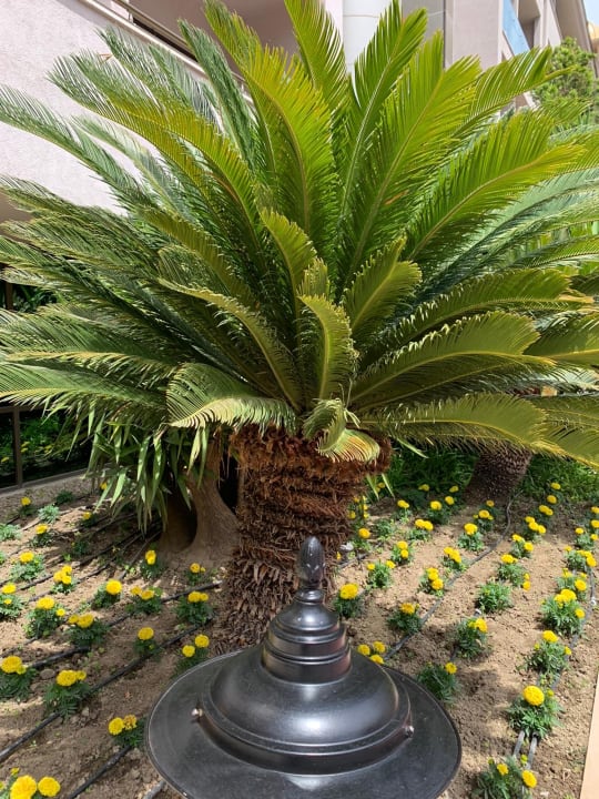 Gartenanlage Aydinbey Kings Palace & Spa