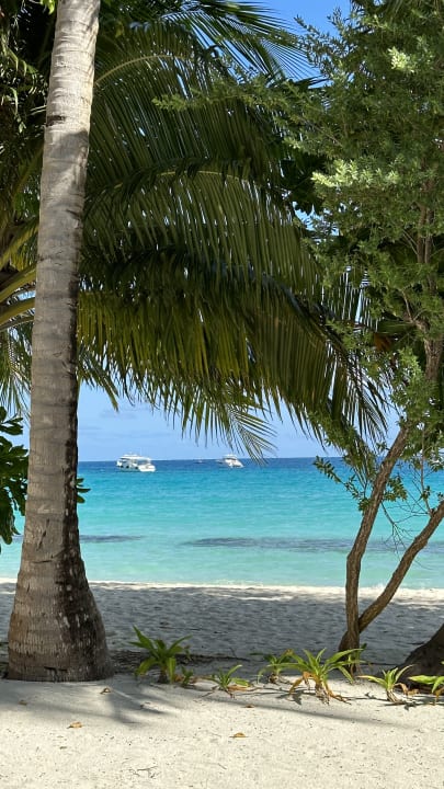 Ausblick Kuramathi Maldives