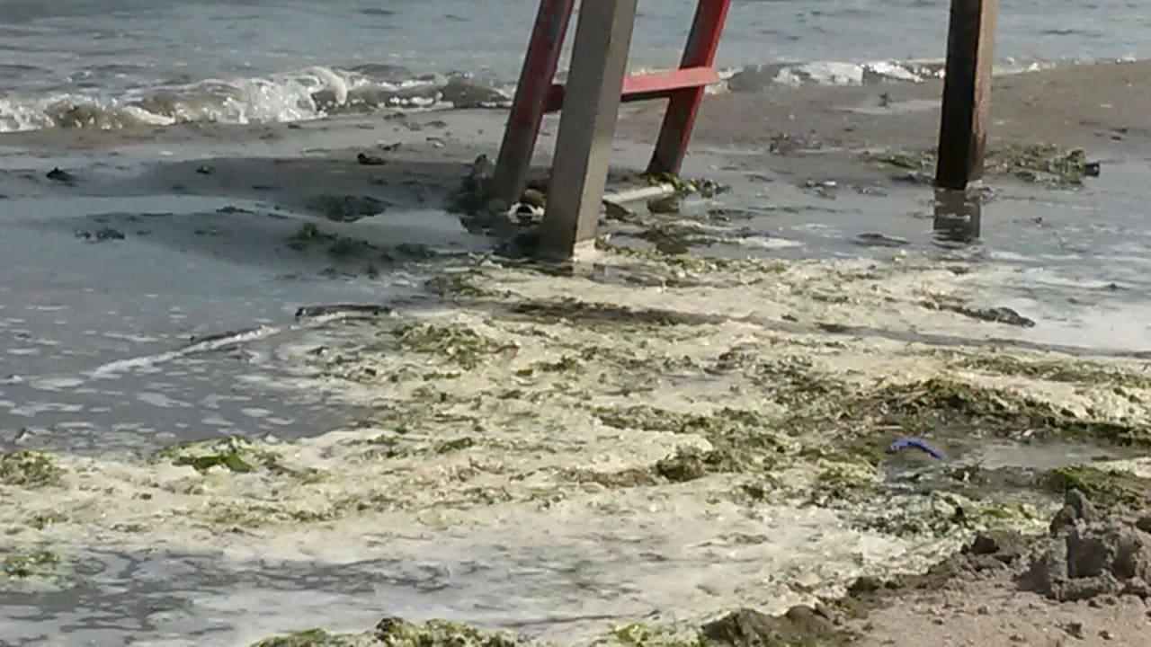 Hundestrand nachmittags Rosapineta Camping Village