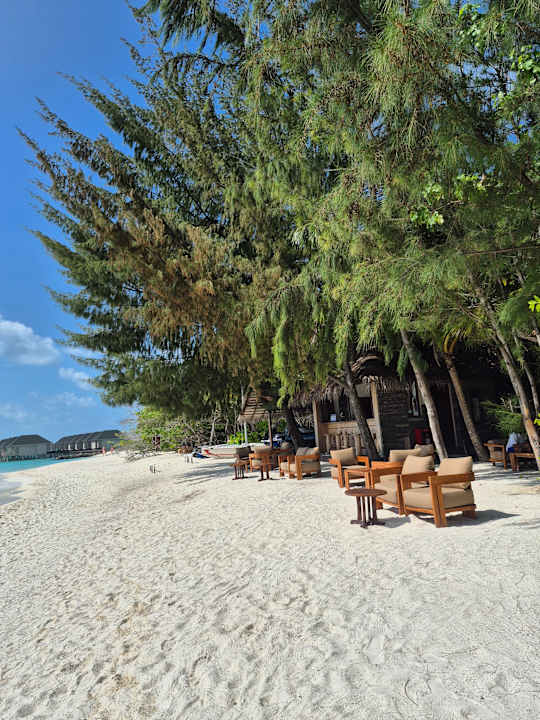 Strand Summer Island Maldives