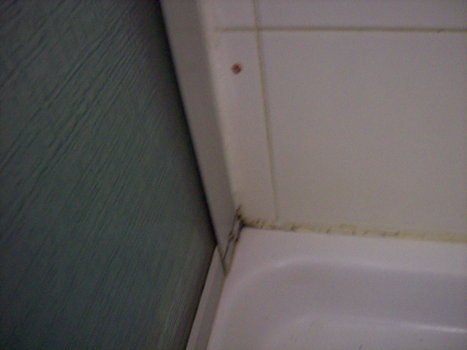 Schimmel in der Dusche Hotel Meeting