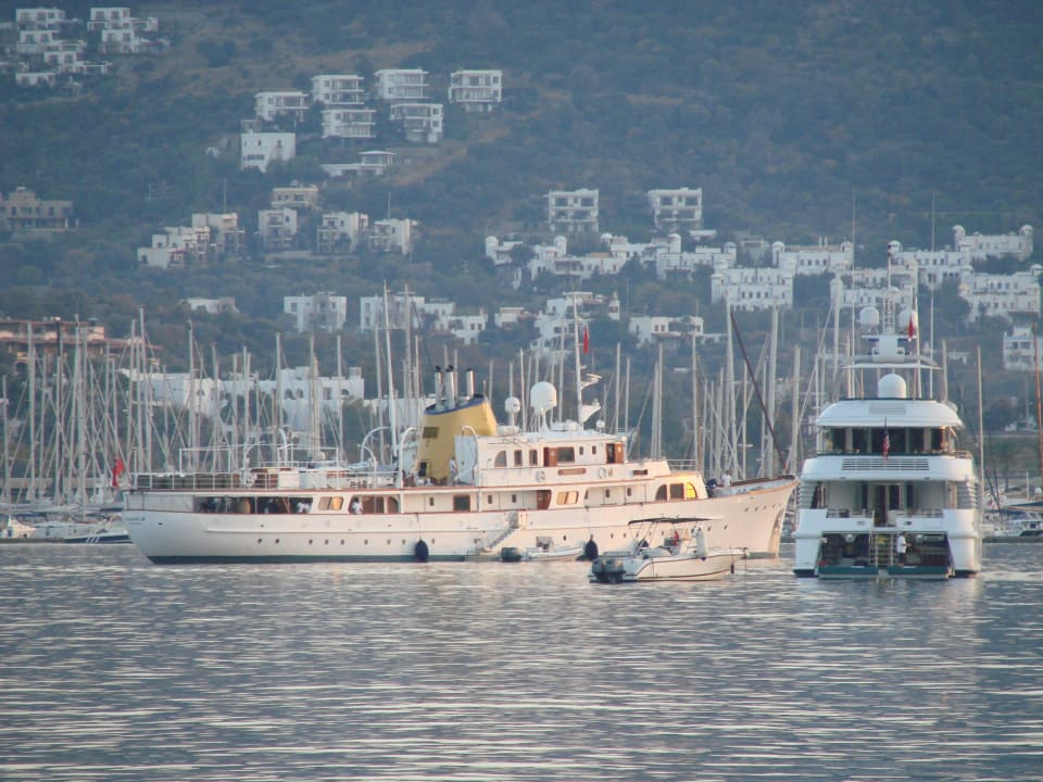 Тихий отдых Aparthotel Elite Garden