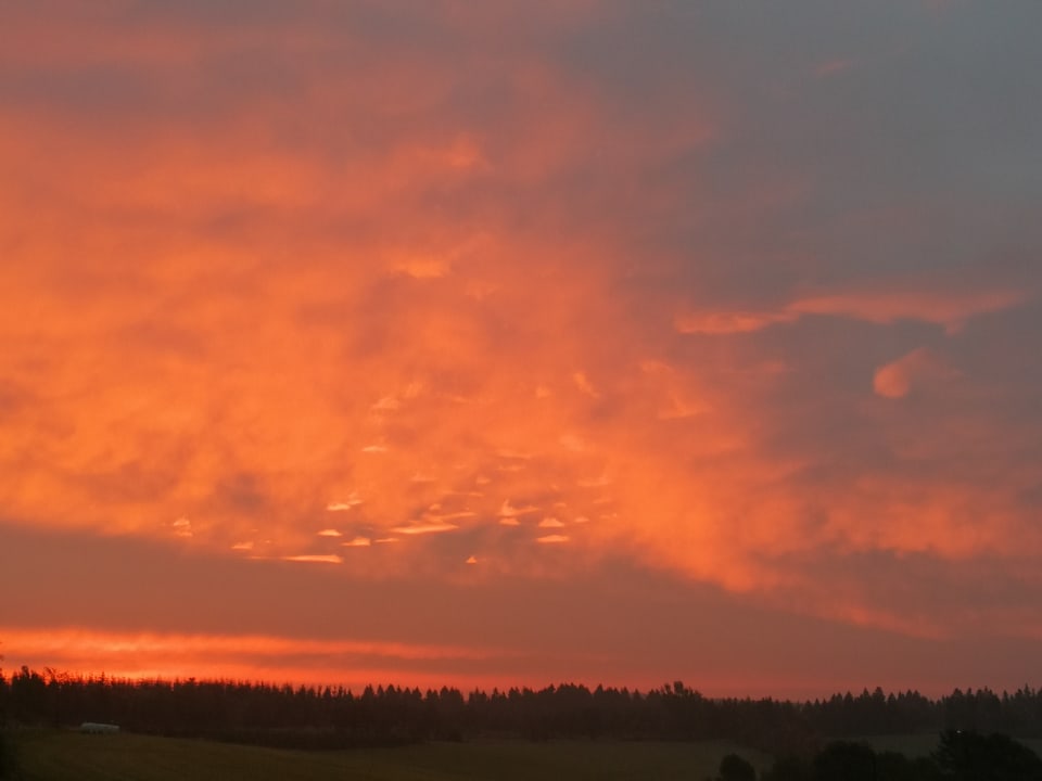 Außenansicht Der schöne Asten - Resort Winterberg