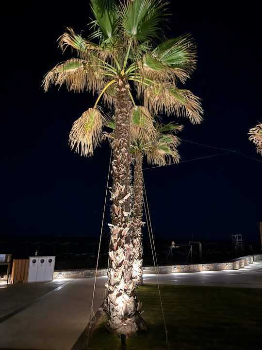 Pool allsun Hotel Carolina Mare