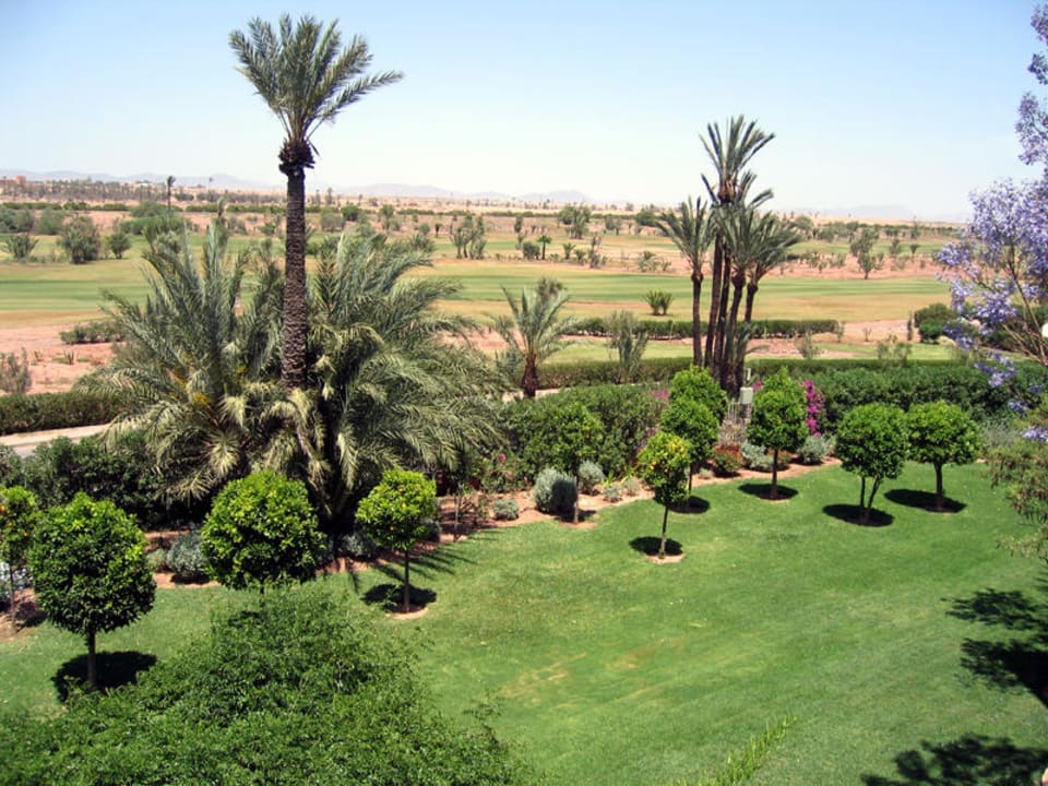 Balkonaussicht Palmeraie Palace