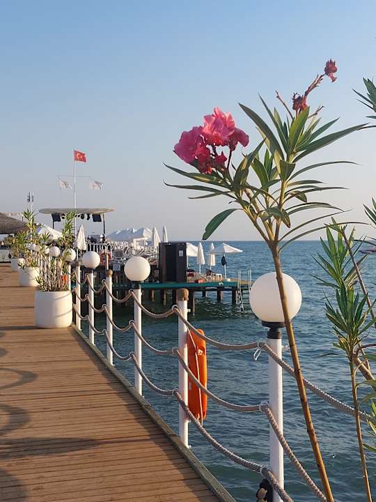 Sonstiges Adalya Elite Lara