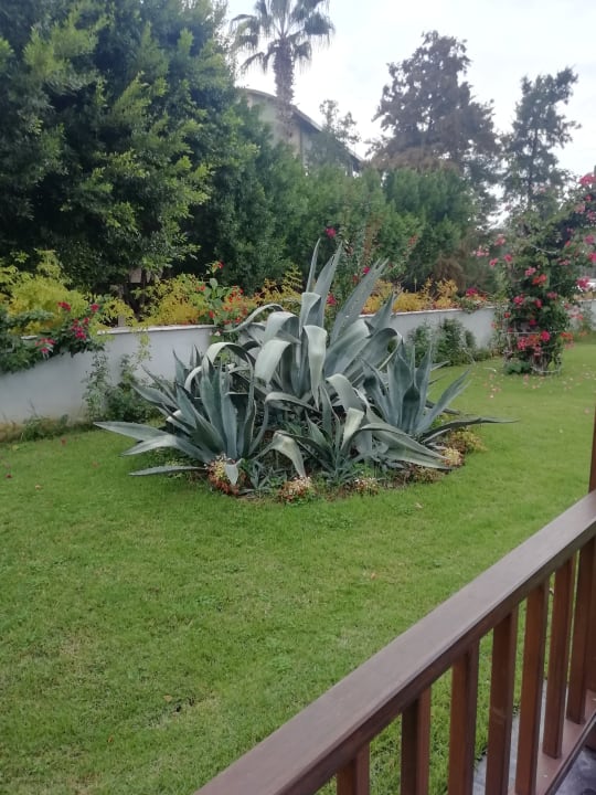 Gartenanlage Seaden Quality Resort & Spa