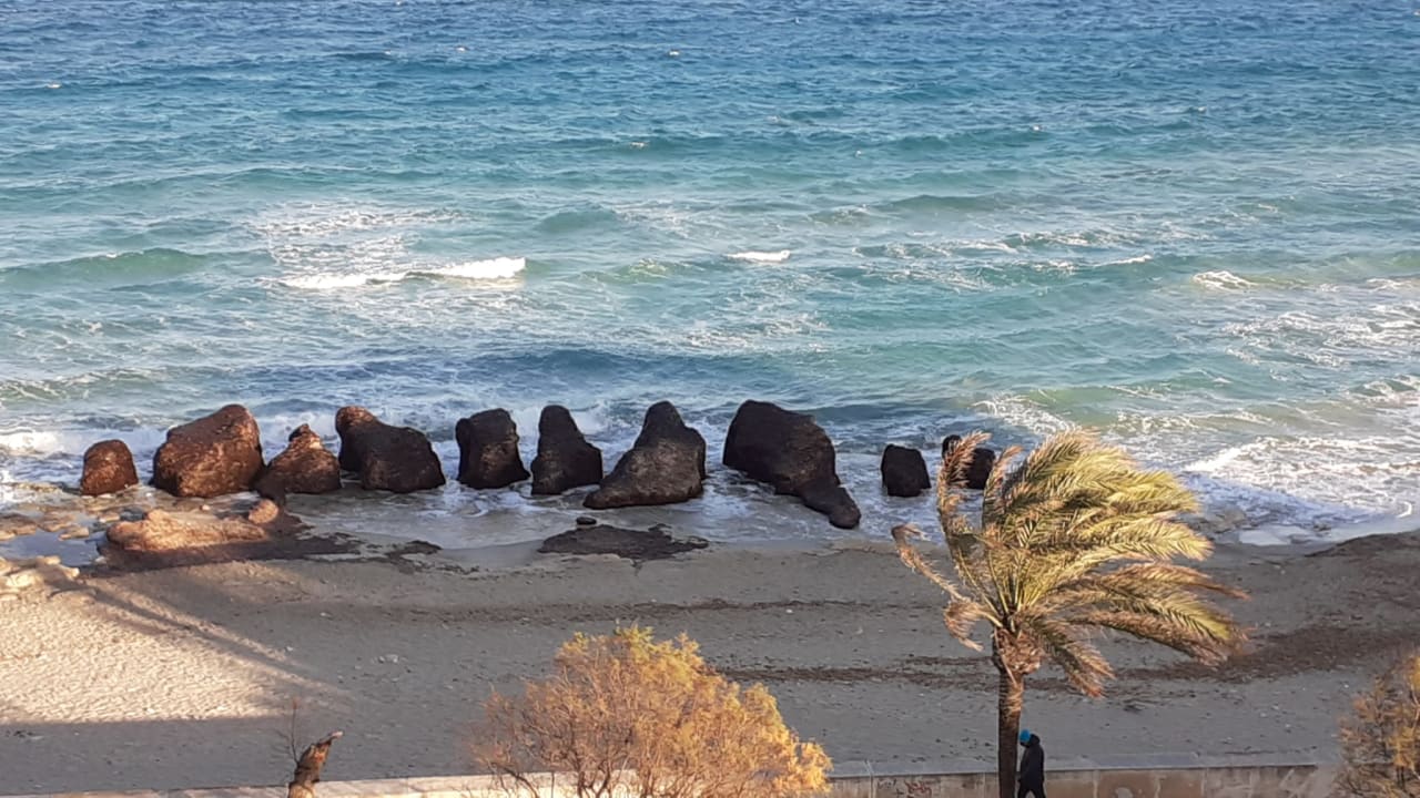 Ausblick Hipotels Hipocampo Playa