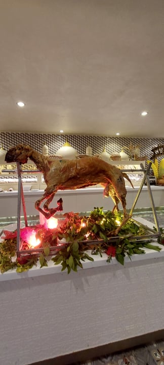 Gastro Royal Taj Mahal Hotel