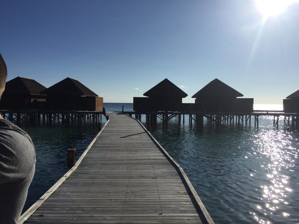 Bungalow Veligandu Maldives Resort Island