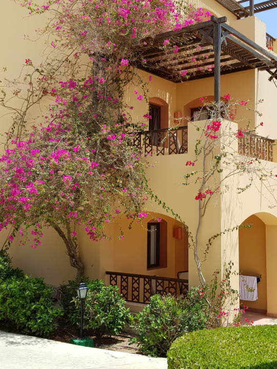 Gartenanlage Steigenberger Coraya Beach - Adults only