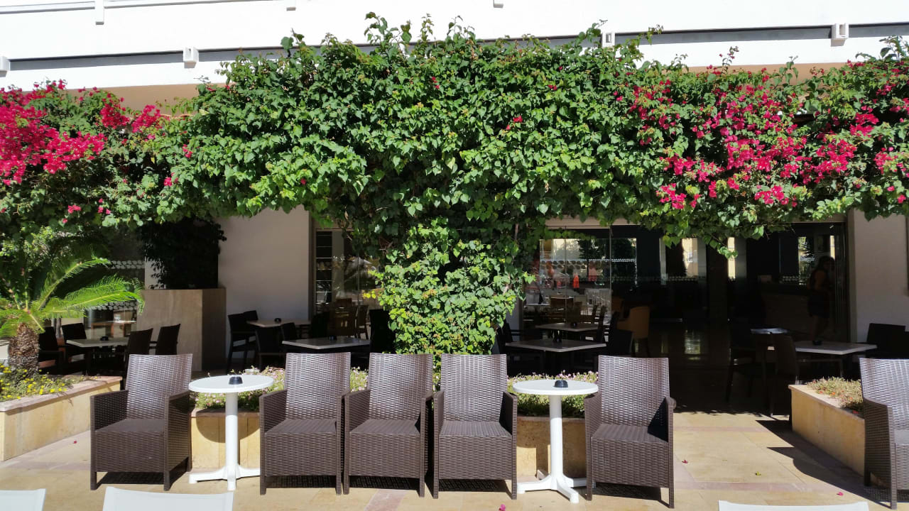 Sitzmöglichkeiten vor der Bar und den Pools Hotel Condesa