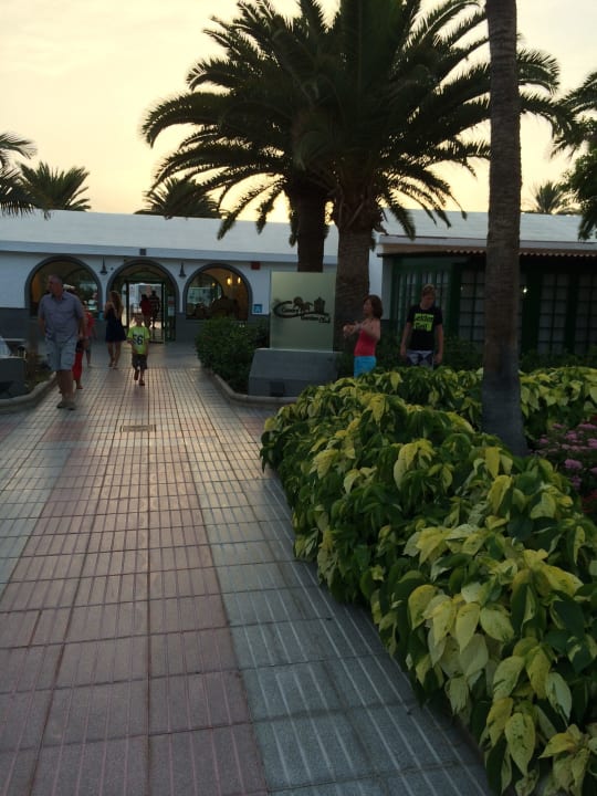 Eingangsbereich Canary Garden Club