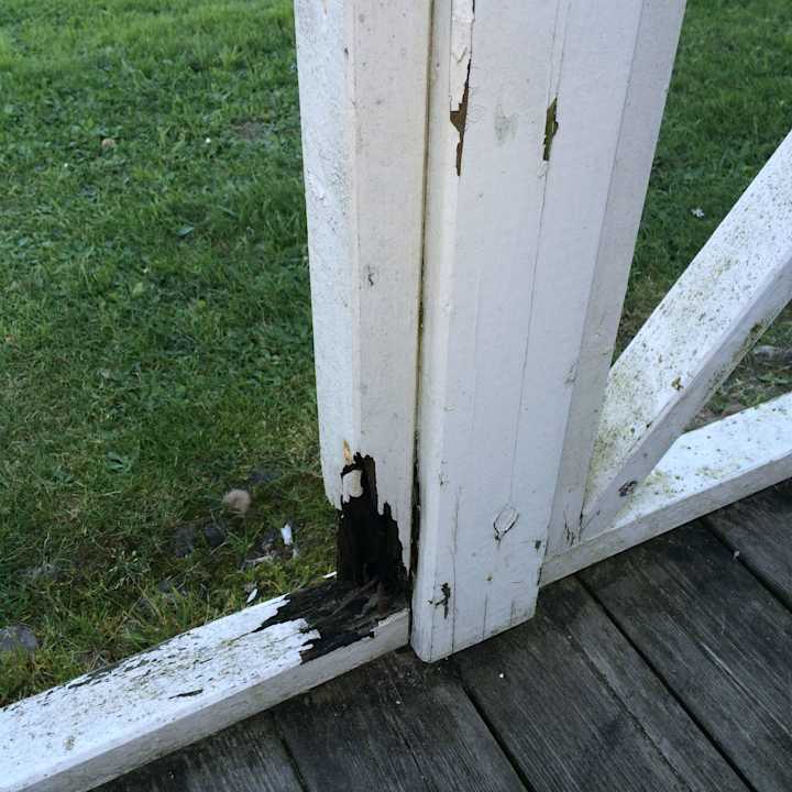 Terrasse Ferienhausdorf Otterndorf