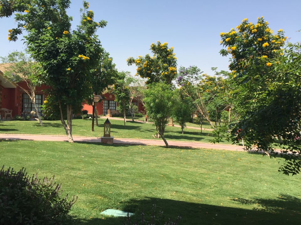 Gartenanlage Pickalbatros Jungle Aqua Park Resort - Neverland Hurghada