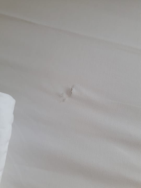 Zimmer Aydinbey Kings Palace & Spa