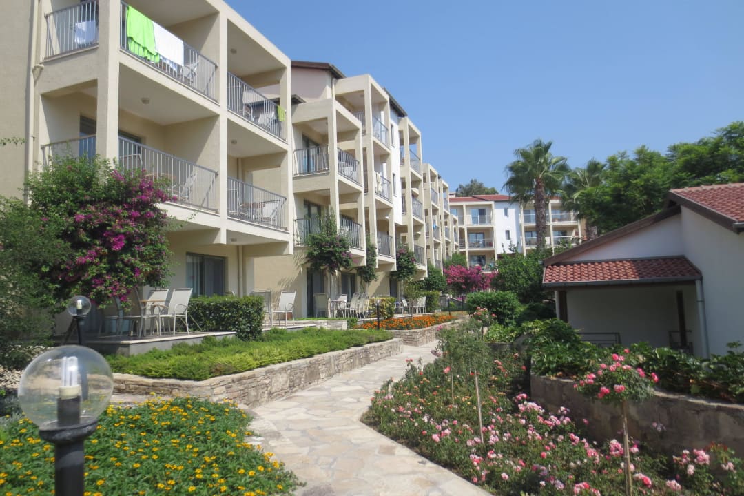 Garten Arum Barut Collection