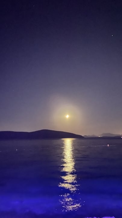 Ausblick TUI MAGIC LIFE Bodrum - Adult Only (16+)