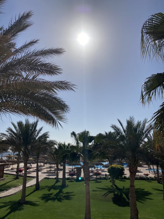 Ausblick Three Corners Sea Beach Resort