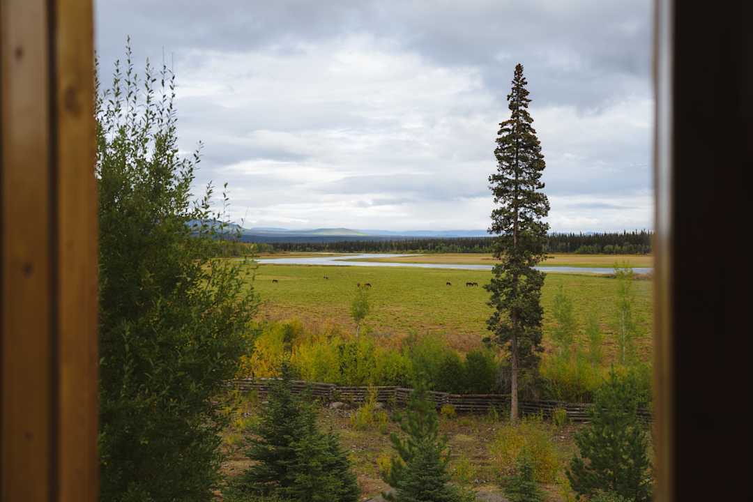 Ausblick Red Cariboo Resort