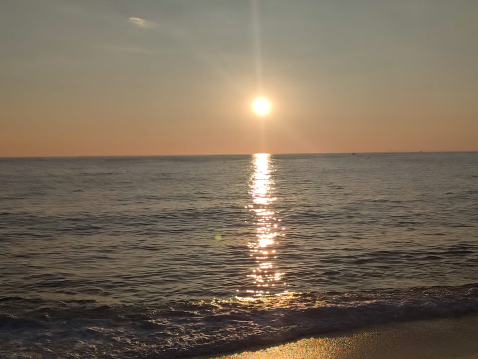 Ausblick Gardenia Hotel