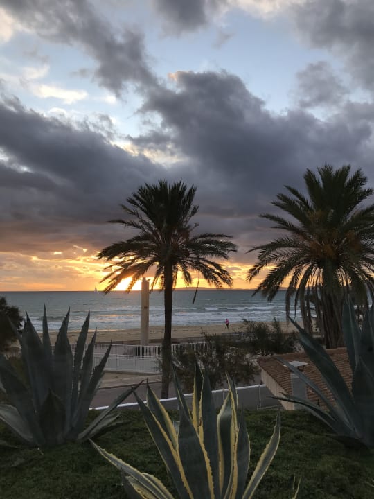 Ausblick Iberostar Selection Playa de Palma
