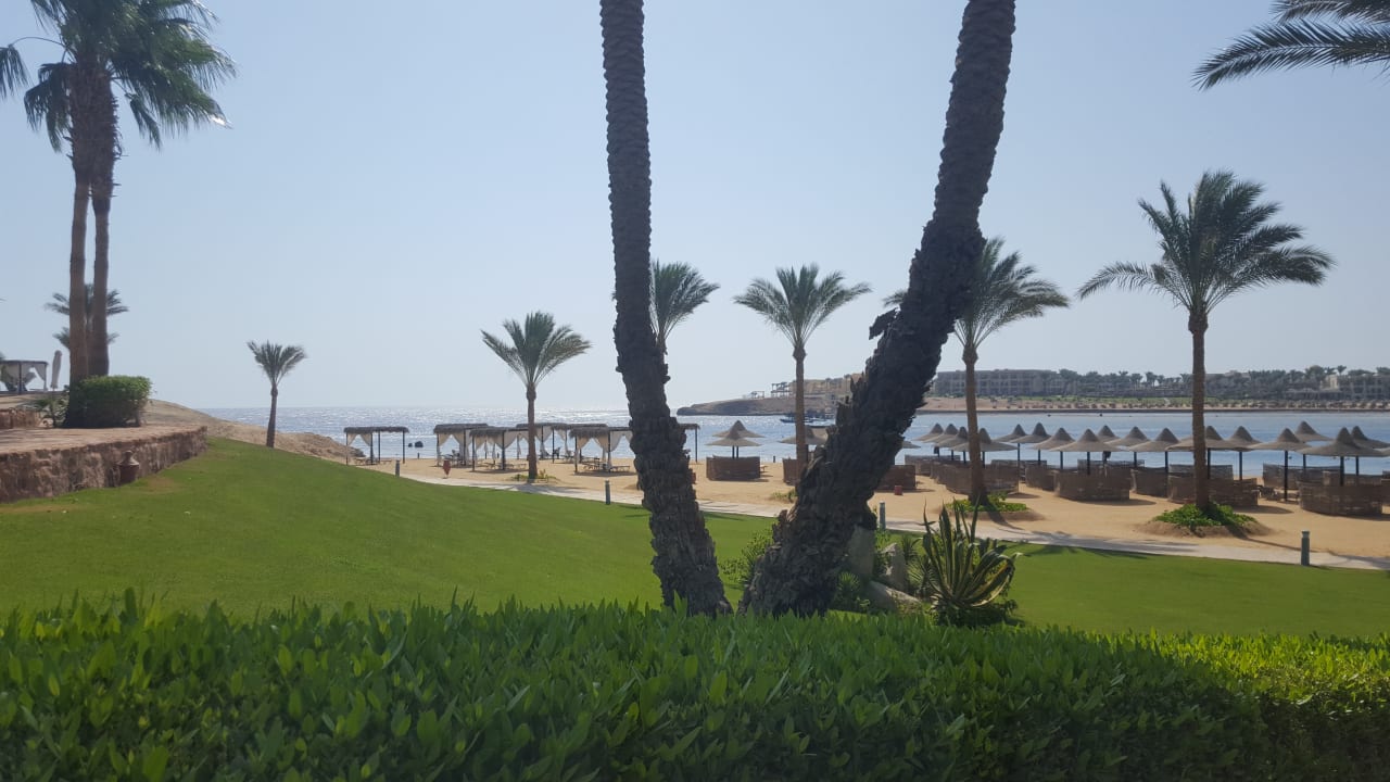 Gartenanlage Steigenberger Coraya Beach - Adults only