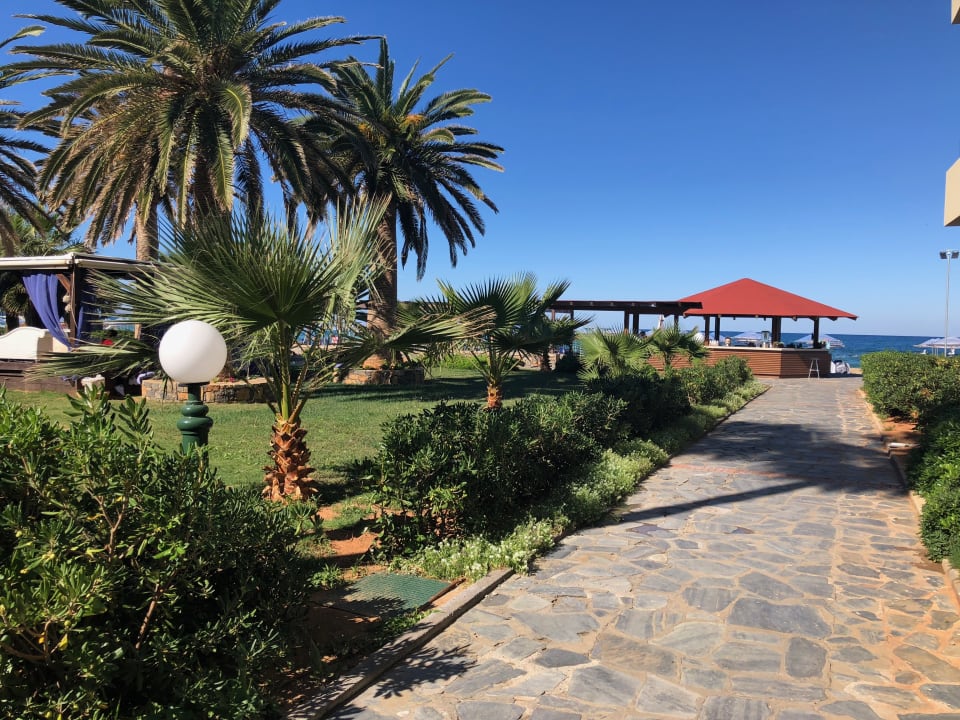 Gartenanlage Calimera Sirens Beach