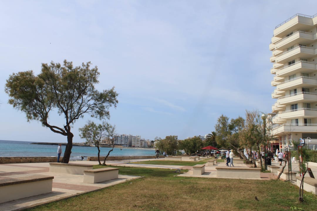 Plaża przed hotelem Hotel Palia Sa Coma Playa
