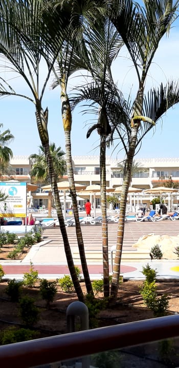 Ausblick Pickalbatros Royal Moderna Resort-Sharm El Sheikh