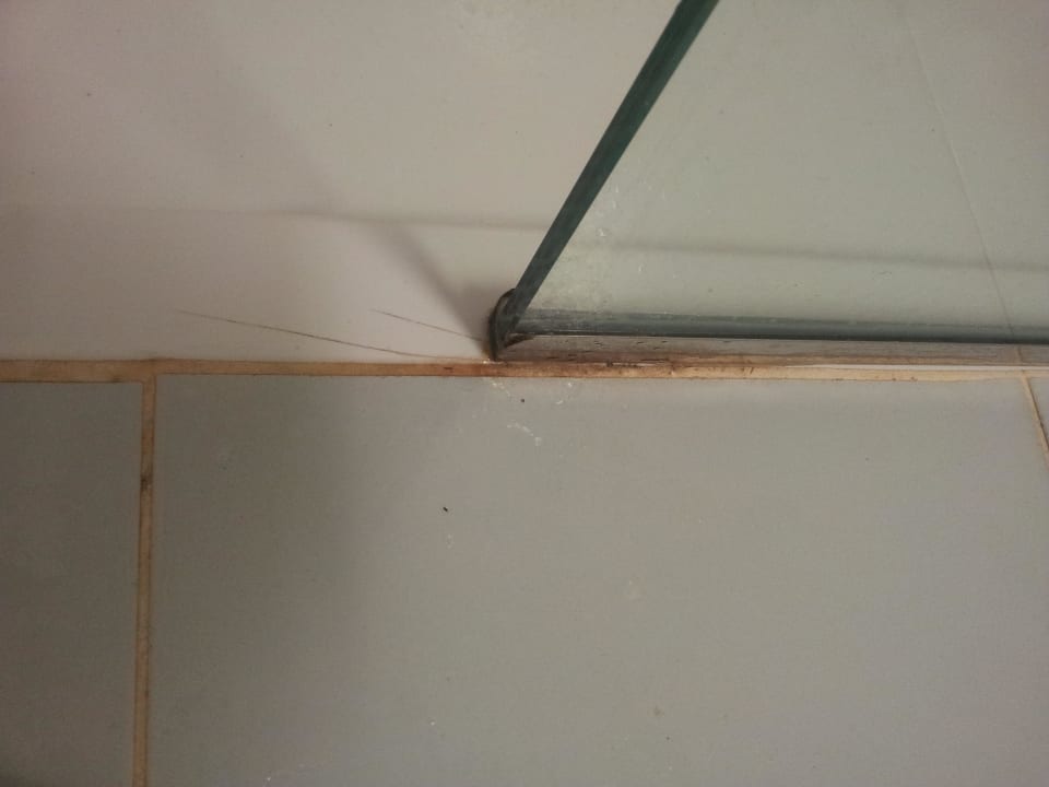 Grausig Hipotels Mediterraneo Club