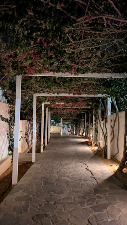 Gartenanlage Knossos Beach Bungalows Suites Resort & Spa
