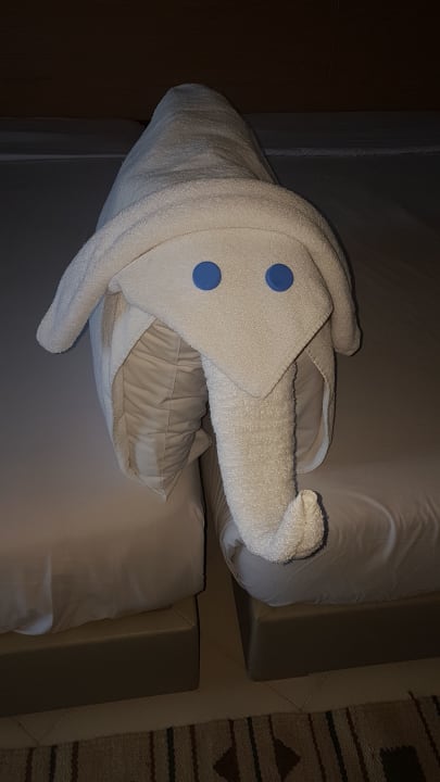 Zimmer Regina Resort and Aqua Park Hurghada