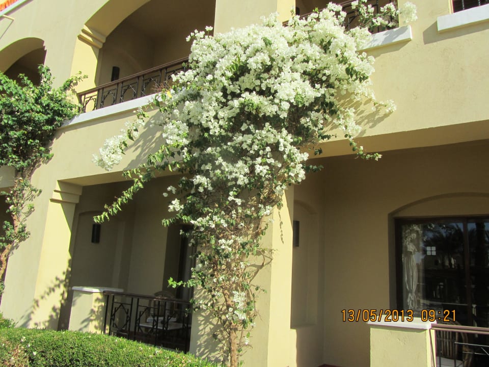 Отель Jaz Makadi Gardens - TUI BLUE Makadi Gardens - Adults Friendly 16 Years Plus