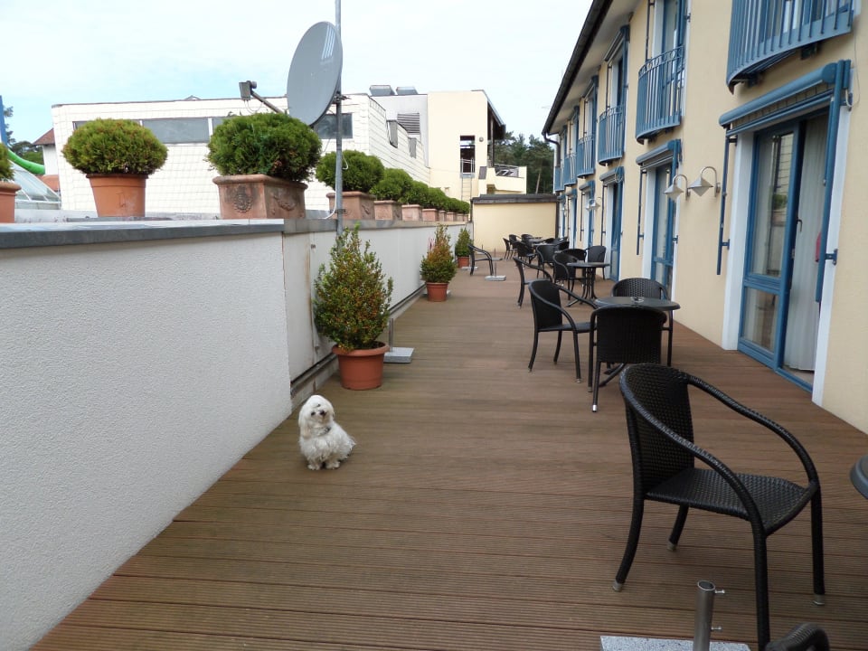 Die Terrasse vor den Zimmern Vital Hotel Westfalen Therme