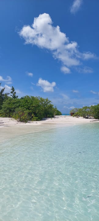 Strand Summer Island Maldives