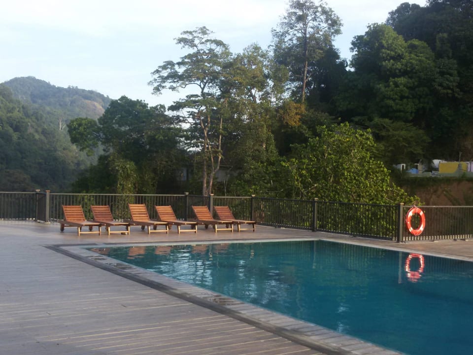 Pool am Dach Oak Ray Regency