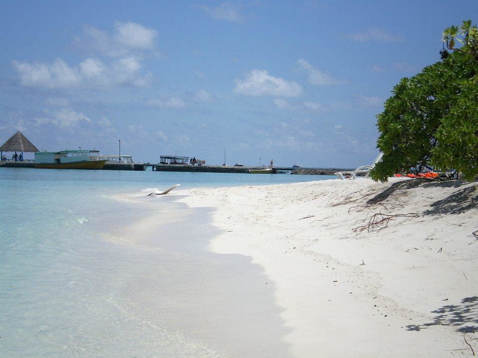 Strand Summer Island Maldives