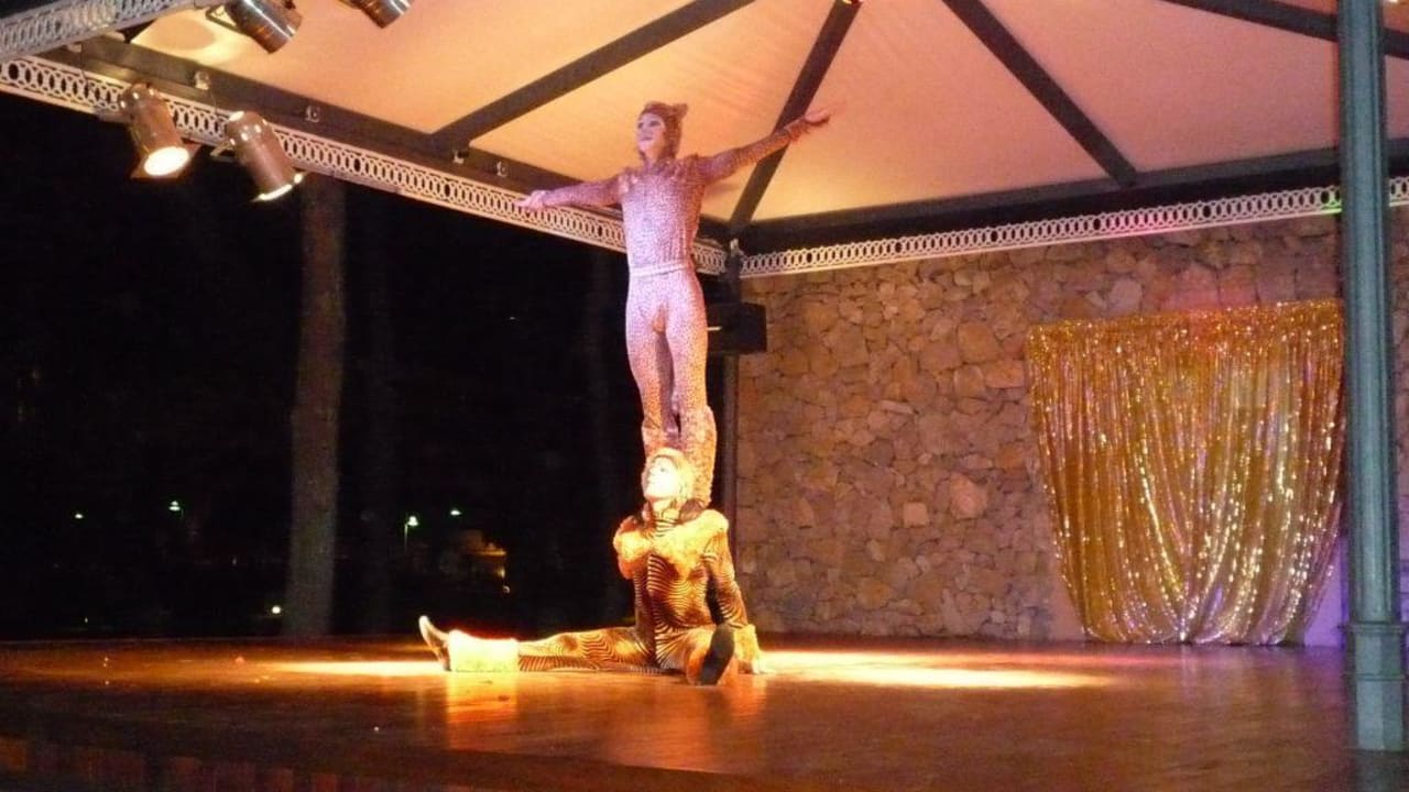 Abendprogramm Cats & Akrobatik Hipotels Hipocampo Palace & Spa