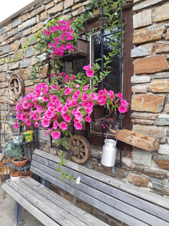 Außenansicht Hotel Schwengerer