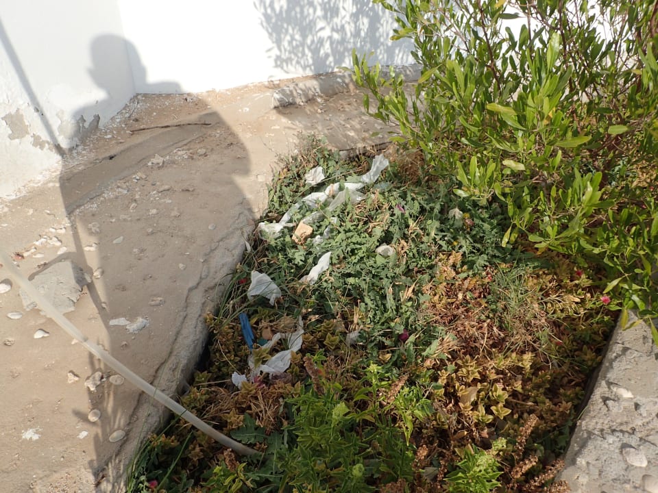 Überall Schmutz in der Gartenanlage  Hotel Coral Garden