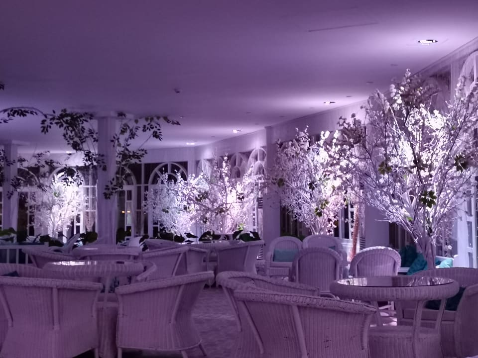 Sonstiges Desert Rose