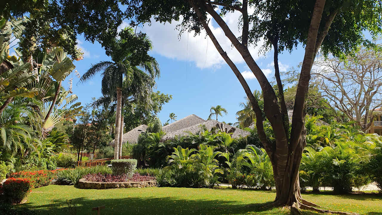 Gartenanlage Hotel Viva Dominicus Beach by Wyndham - All Inclusive Resort