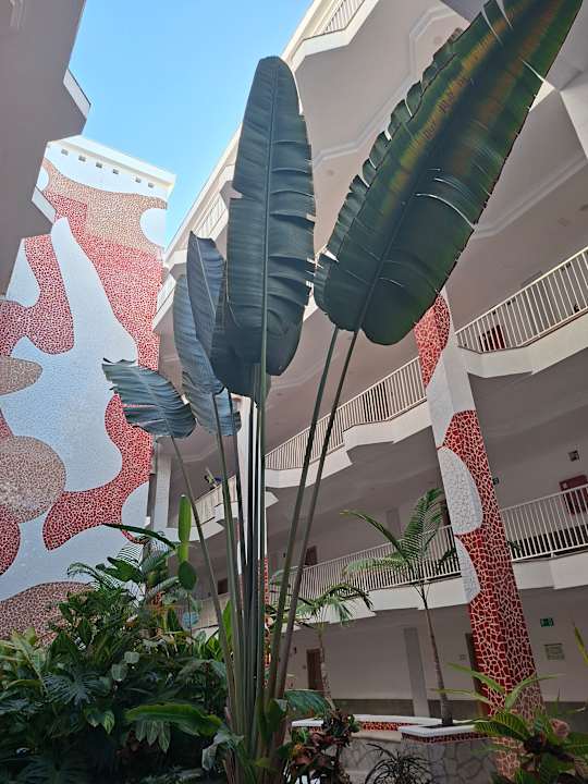 Sonstiges Hotel Riu Buenavista