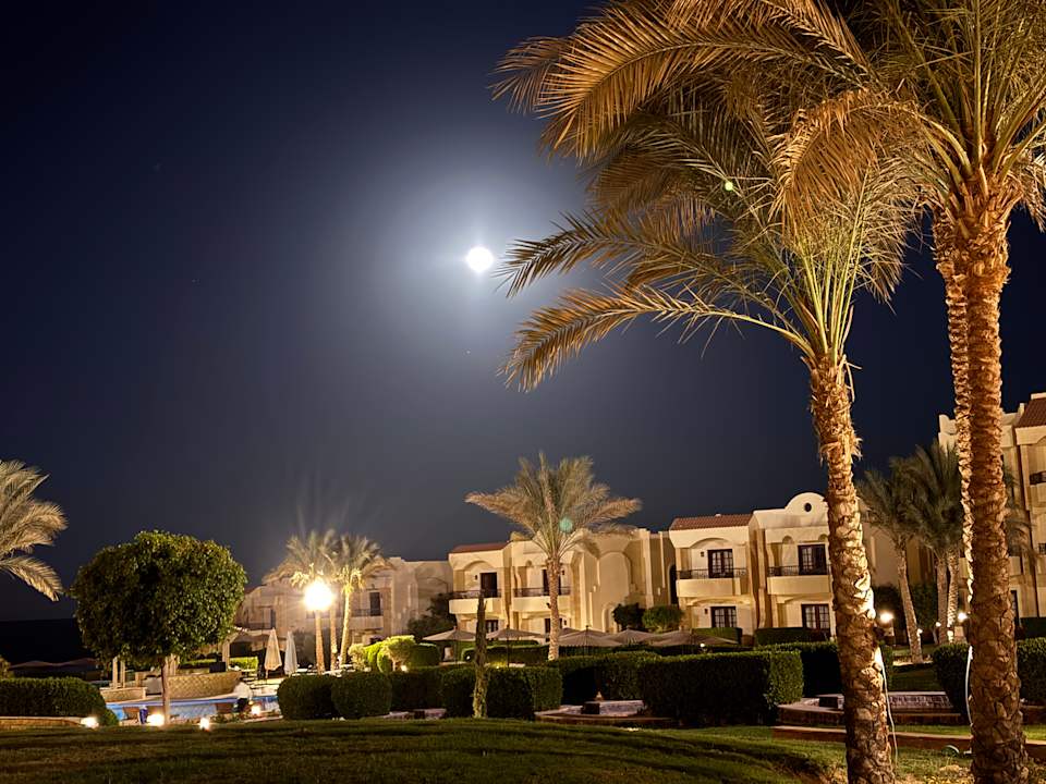 Gartenanlage Coral Hills Resorts & SPA