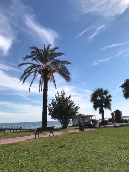 Gartenanlage TUI MAGIC LIFE Beldibi +16