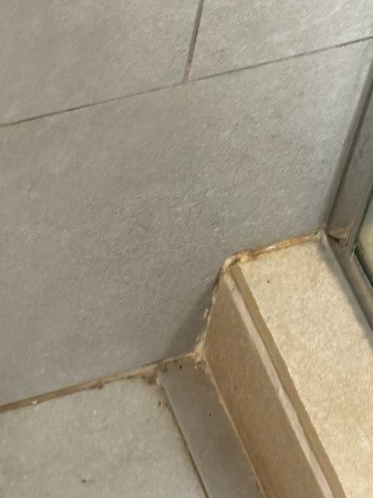 Sonstiges Hotel Riu Palace Boavista