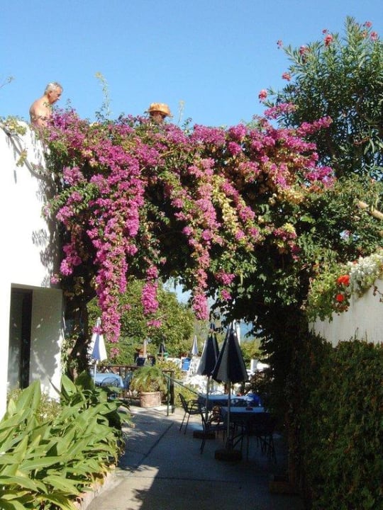 Blütenmeer Hotel L'Oasi Parco Castiglione